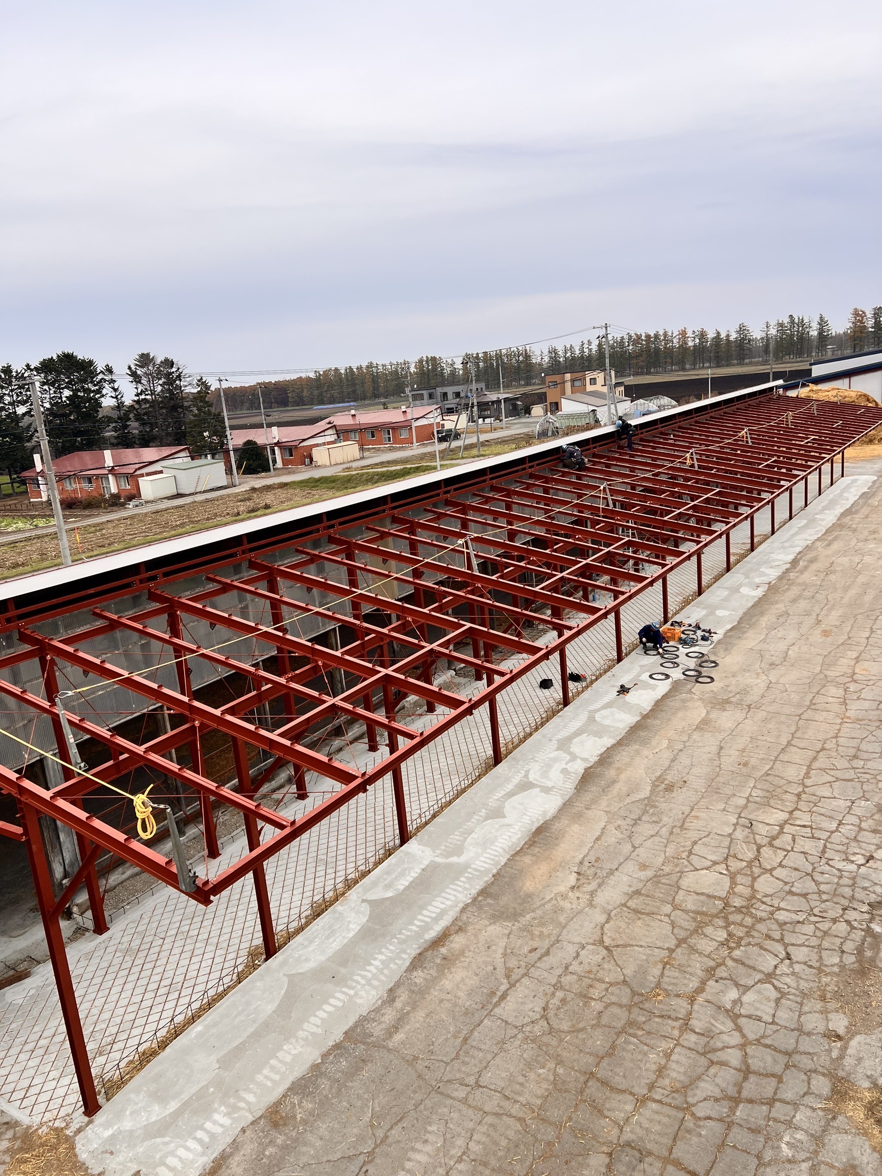 牛舎建て方（中札内）